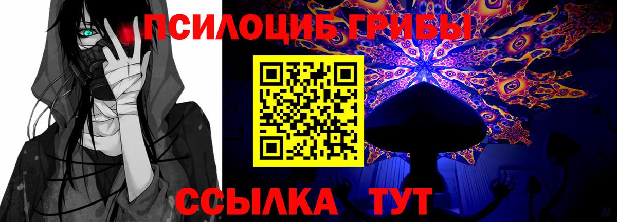 Туймазы  Псилоцибиновые грибы прущие грибы  Вход с VPN 